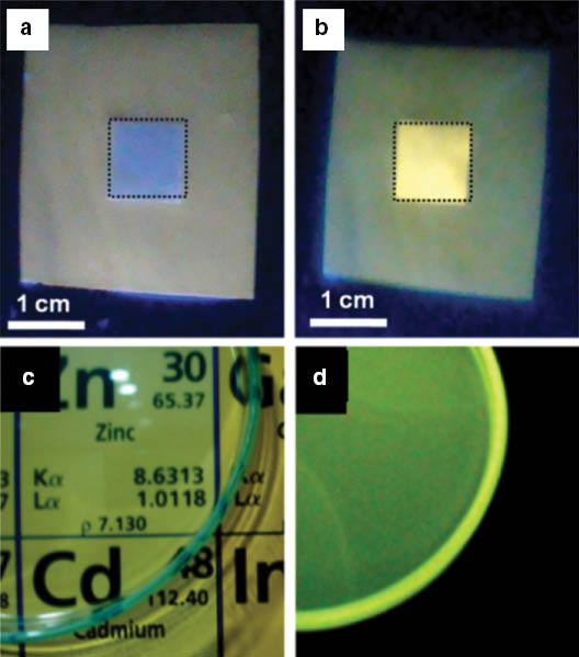 Fig. 5:
a) The photograph of C-ZnO NPs coated on a skin emission model (PMMA/D-ZnO QDs nanocomposite) under a 365 nm UV lamp excitation, b) a photograph of D-ZnO QDs coated on a skin emission model under a 365 nm UV lamp excitation, c) shows the transparency of oleic acid capped D-ZnO QDs coated on a glass substrate and d) its yellowish-green fluorescence under a 365 nm UV lamp excitation.