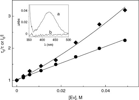 Fig. 1:
Stern–Volmer plots for the steady state (◆) and time-resolved (●) fluorescence quenching of 1Rf* by Ev. Inset: (a) Absorption spectrum of 0.031 mM Rf+0.025 M Ev in water; (b) baseline.