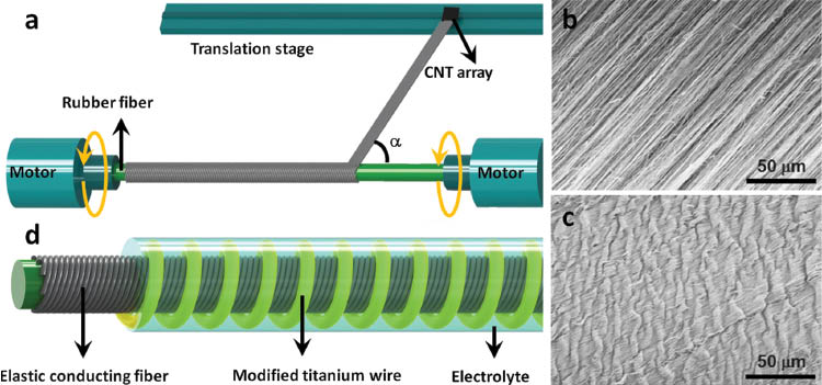 Fig. 2: 
					(a) Schematic illustration to fabricate an elastic conducting fiber. (b) and (c) A top SEM view of the elastic and conducting fiber before and after stretching. (d) Schematic illustration of a stretchable DSC. Adapted from ref. [21]. Copyright John Wiley and Sons (2014).
				