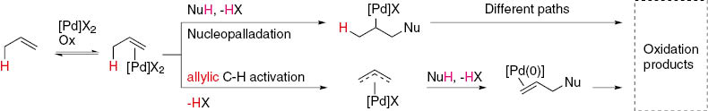 Scheme 1:
Divergent paths in the Pd(II)-catalyzed addition of nucleophiles to alkenes.