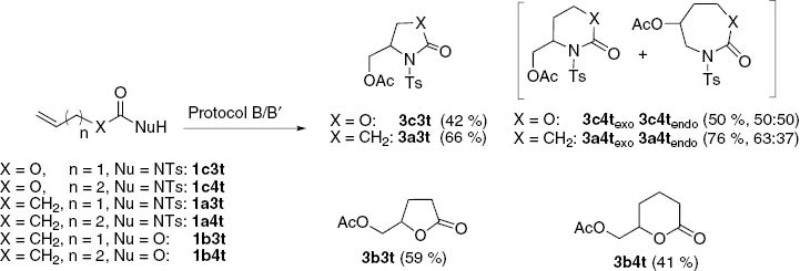 Scheme 6:
Reactivity of terminal alkenes with PhI(OAc)2 as terminal oxidizing agent.