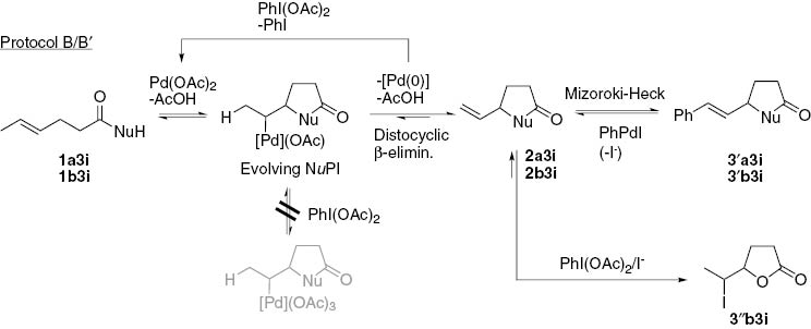 Scheme 8:
Generation of a cyclic NuPI from an internal alkene and its evolution in the presence of PhI(OAc)2.