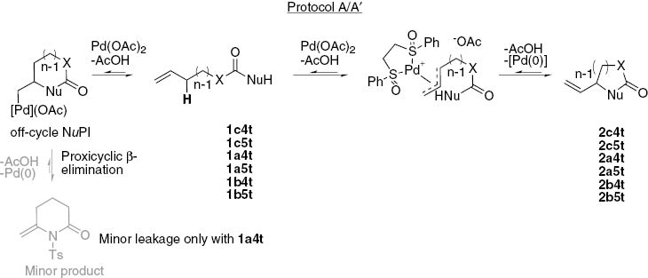 Scheme 9:
Allylic C–H activation from dormant NuPIs.