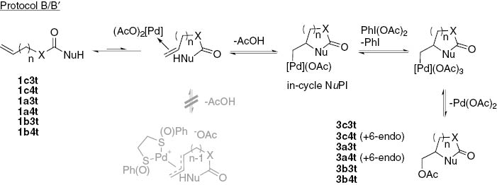 Scheme 11:
Generation of a cyclic NuPI from a terminal alkene and its evolution when using PhI(OAc)2 as oxidizing agent.