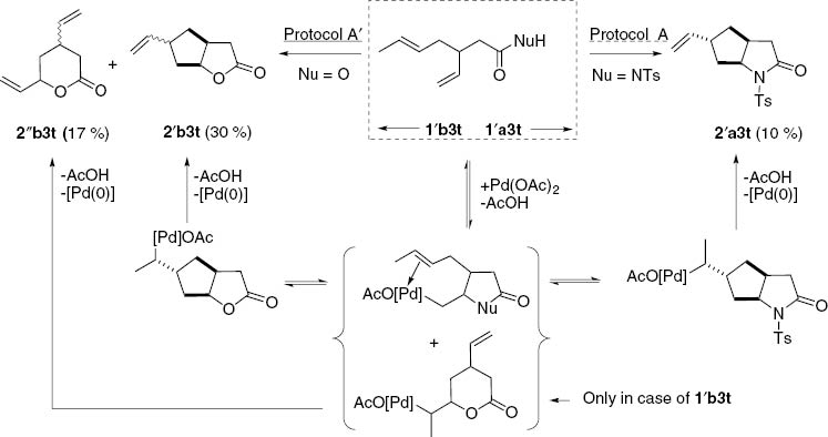 Scheme 14:
Proposed mechanisms associated to the different behavior of carboxamide 1a′3t and carboxylic acid 1b′3t.