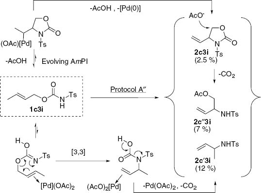 Scheme 16: 
						Case of the allylic carbamate 1c3i: competition between [3,3]-sigmatropic rearrangement and distocyclic β-elimination.
					