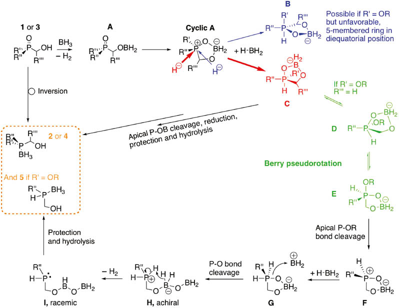 Fig. 4:
Proposed mechanism for the reduction of TPO 1 and phosphinates 3.