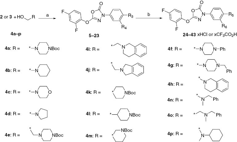 Scheme 1:
(a) Reagents and conditions: Ph3P, DEAD, THF, 0–5°C, then 20–25°C; (b) Neat TFA, 20–25°C, then 2 M ethereal HCl solution in EtOAc; *represents point of attachment.