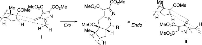 Scheme 31: 
						Exo and endo [8π + 2π] cycloaddition of 16-DPA with 1-substituted diazafulvenium methides, considering the approach of the dipole by the α-face.
					