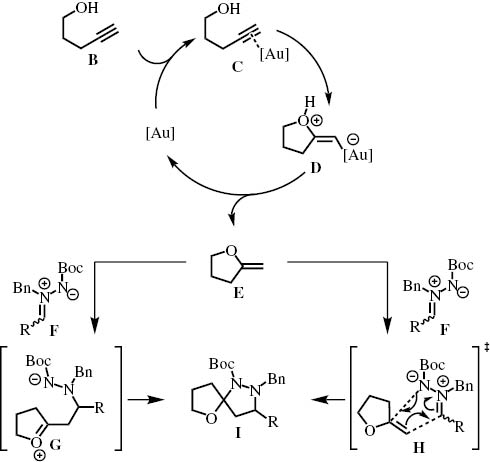 Scheme 8:
Mechanistic model for the gold-catalyzed synthesis of spirocyclic pyrazolidines by three-component coupling.