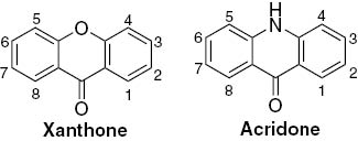 Fig. 1: Xanthone and acridone monomer cores with numbering.