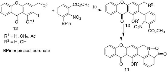 Scheme 2: Reagents and conditions: (i) Pd(OAc)2/Sphos, K3PO4, THF/H2O (3:1), 80°C, 1–2 h.