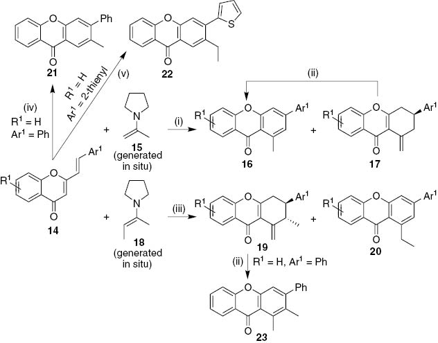 Scheme 3: Reagents and conditions: (i) refluxing acetone, 2–28 h; (ii) AcOH/H2SO4, 100°C, 3 h; (iii) refluxing butan-2-one, 70 min-3 days; (iv) refluxing propanal, drop of pyrrolidine, 4 days; (v) refluxing butanal, drop of pyrrolidine, 4 days.