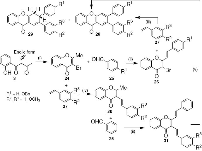 Scheme 4: Reagents and conditions: (i) 1. Br2, EtOH, r.t., 2 h; 2. HCl, reflux, 2 h; (ii) Na, MeOH, r.t., 48 h; (iii) Pd(PPh3)4, PPh3, Et3N, NMP, 160°C to reflux; (iv) PdCl2, PPh3, Et3N, NMP, 160°C, 9 h; (v) 1,2,4-TCB, reflux, 18 h.