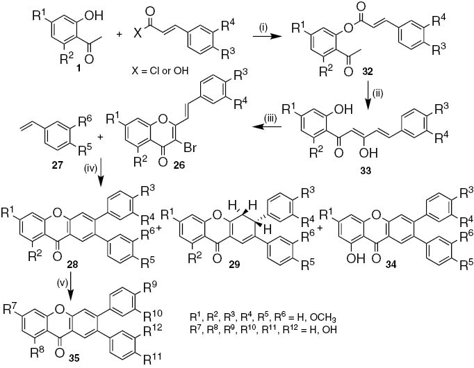 Scheme 5: Reagents and conditions: (i) X=Cl, pyridine, r.t., 2 h; X=OH, POCl3, pyridine, 60°C, 2 h; (ii) KOH, DMSO, r.t., 2 h; (iii) PTT, THF, r.t., 12 h; (iv) Pd(PPh3)4, PPh3, Et3N, NMP, 160°C to reflux; (v) BBr3, dry CH2Cl2, –78°C to r.t..