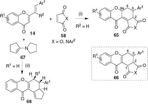 Scheme 13: Reagents and conditions: (i) boiling xylene; (ii) refluxing 95% EtOH.