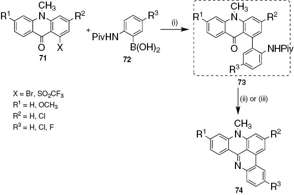 Scheme 15: Reagents and conditions: (i) Pd(PPh3)4, NaHCO3, DME, H2O, 100°C, 5 h; (ii) 6 mol⋅dm−3 HCl in THF (1:1 or 1:1.5), reflux, 18 h to 5 days; (iii) POCl3, 100°C, 20 min.