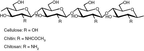 Fig. 1: Chemical structure of linear polysaccharides: cellulose, chitin, and chitosan.