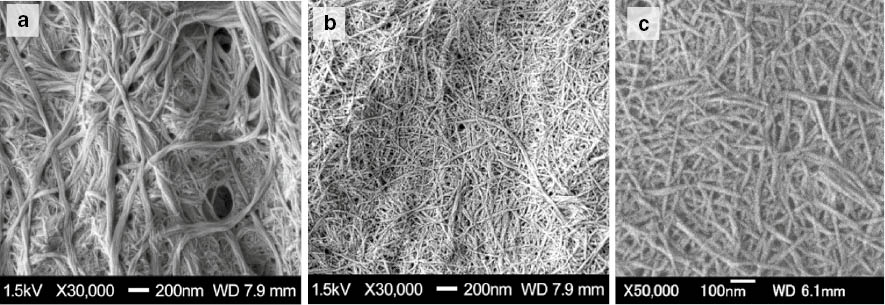 Fig. 4: FE-SEM micrographs of chitin nanofibers from crab shells after one pass through the grinder.(a) Without acetic acid (pH 7), (b) and (c): with acetic acid (pH 3). The length of the scale bar is (a) 200 nm, (b) 200 nm, and (c) 100 nm, respectively. Reprinted with permission from ref. [10].