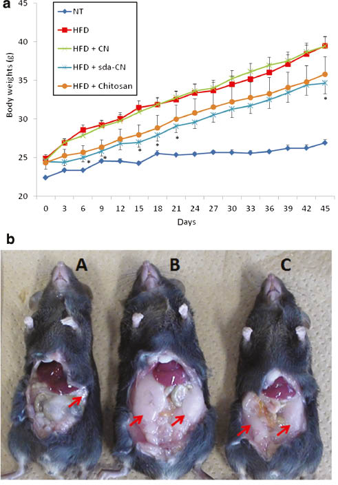 Fig. 9: Effects of surface-deacetylated chitin nanofibrils (sda-CN) on body weight changes in a mouse model of high-fat diet-induced obesity.(a) The body weight changes of mice are shown. In the high-fat diet (HFD) + sda-CN group, the body weights were significantly decreased compared with those of the HFD and HFD + sda-CN groups on days 6, 9, 15, 18, 21, and 45 (p < 0.05). (b) The gross appearances of mice were shown. In the ND group, epididymal fat tissue was slightly observed (A). In the HFD group, much epididymal fat tissue was observed compared with that of the ND group (B). In the HFD + sda-CN group, less epididymal fat tissue was observed compared with that of the HFD group (C). Reprinted with permission from ref. [13].