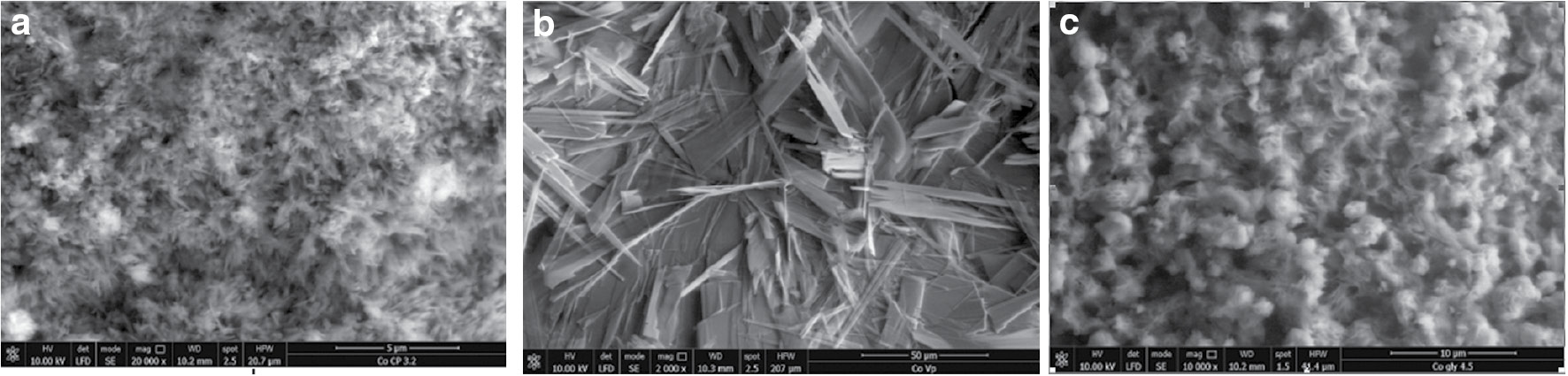 Fig. 4: 
						SEM images of the obtained materials: (a) Co-CP; (b) Co-VP; (c) Co-Gly.
					