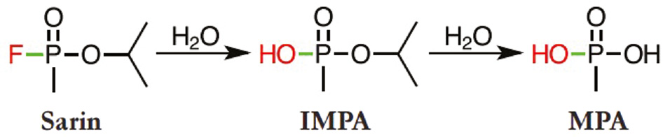 Fig. 6: Degradation pathway of the nerve agent sarin in water and the environment [13].