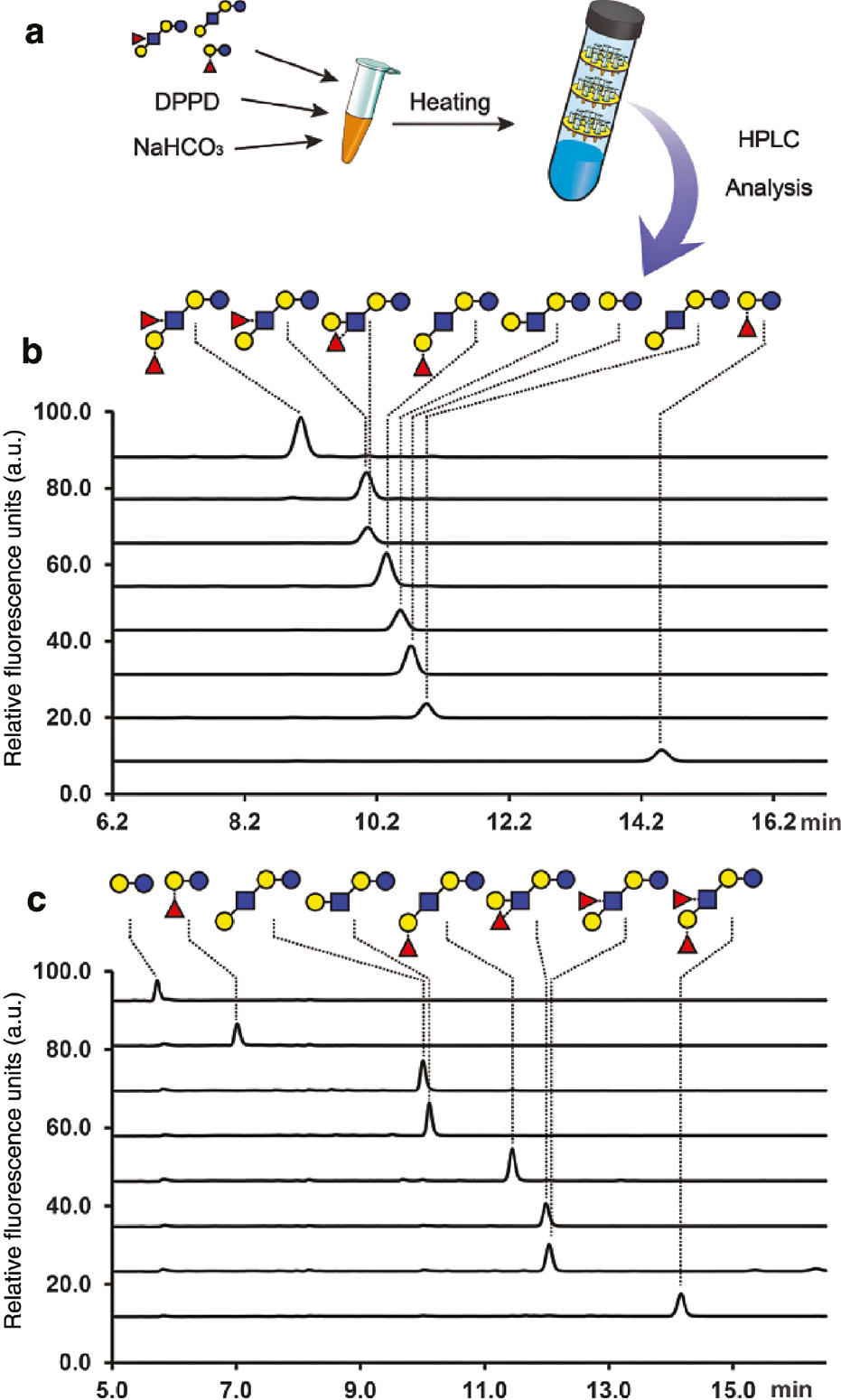 Fig. 2:
HPLC chromatograms of DPPD-labeled human milk oligosaccharide standards were acquired using different columns. a) The labeling procedure. b) Chromatograms acquired using a reverse phase column (Phenomenex Hyperclone 5 μm ODS 120 Å, 250×4.60 mm); c) Chromatograms acquired using an Acquity BEH Glycan column (Waters 1.7 μm, 2.1×150 mm).