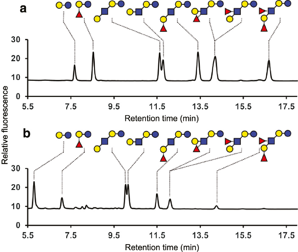 Fig. 3:
HPLC chromatograms of a): 2-AB and b): DPPD-labeled human milk oligosaccharides standards.