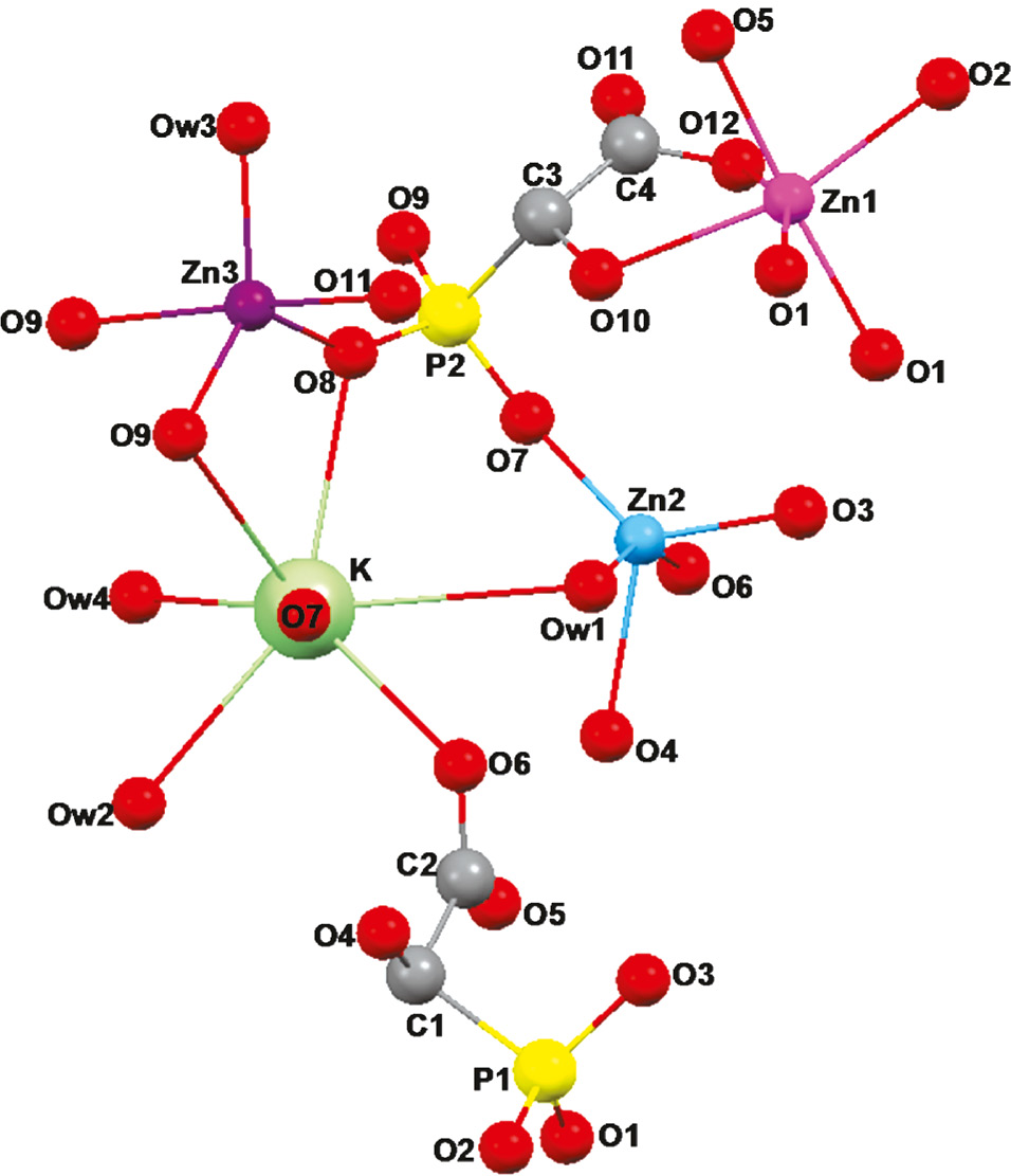 Fig. 3: Content of the extended asymmetric unit of KZn6(O3PCHOHCOO)4(OH)·5H2O with atoms labeling.