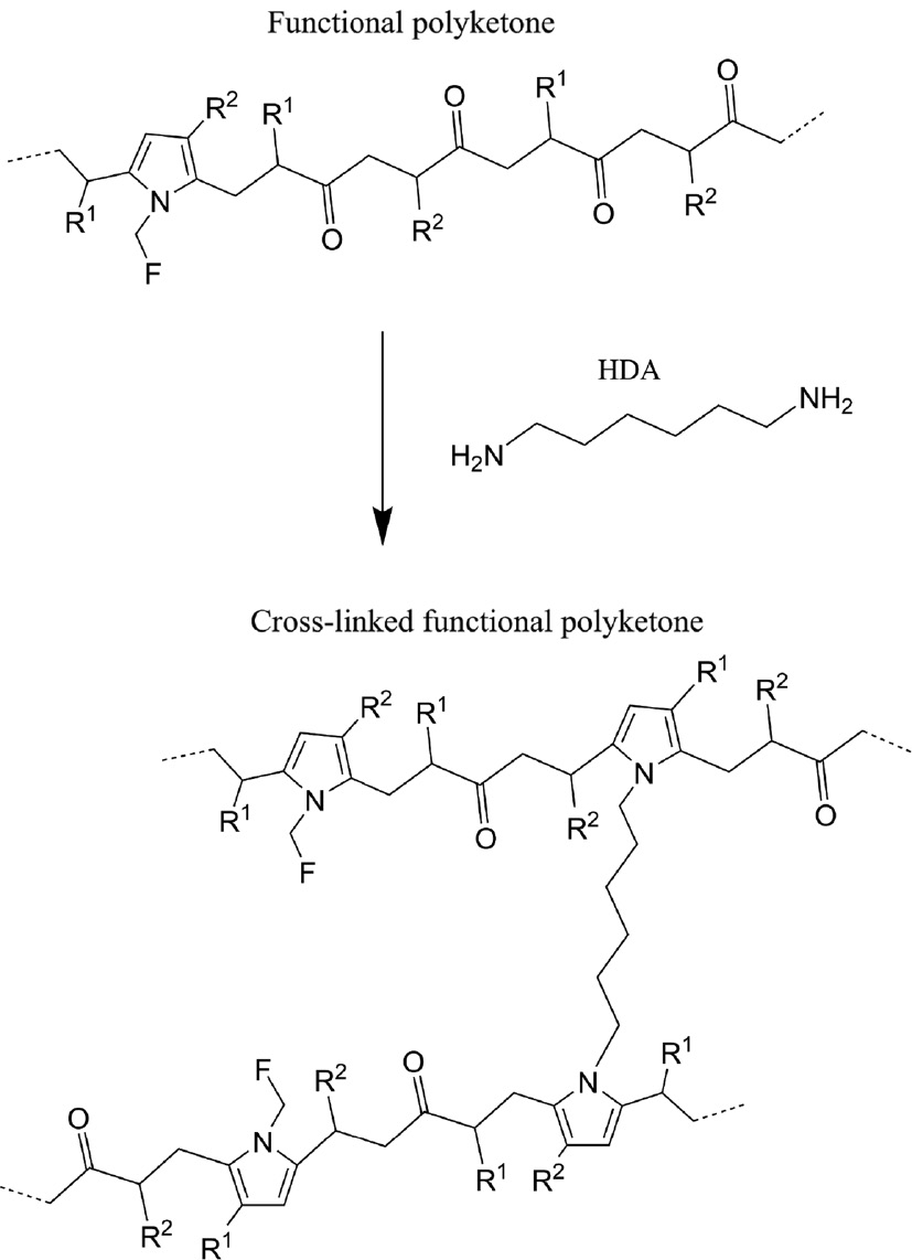 Fig. 1: Irreversible cross-link reaction scheme for functional polyketones. Functional-, unreacted- and cross-linked monomeric-units are depicted in the prepared molecular structure (below). F represents the type of pending functionality.