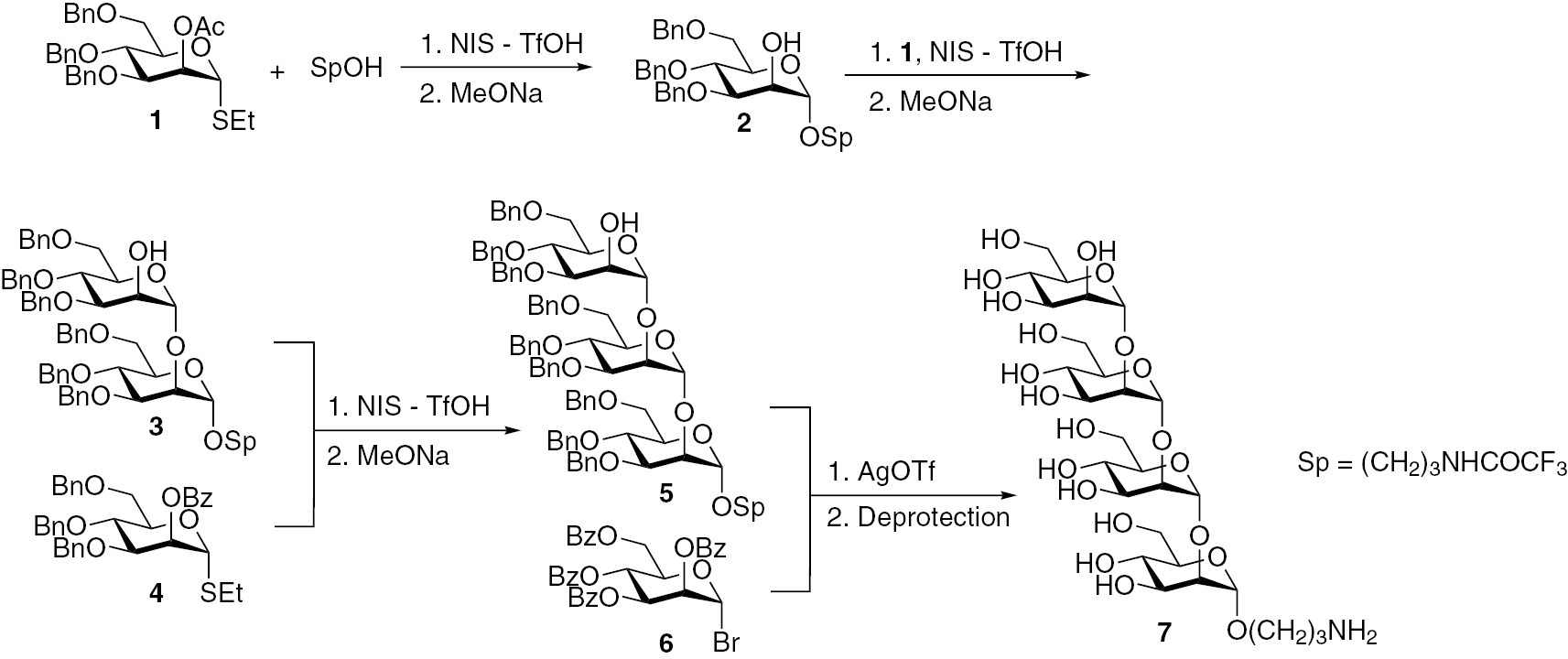 Fig. 2:
Synthesis of the linear α-(1→2)-tetramannoside related to the antigenic factor 1.