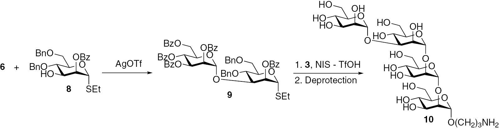 Fig. 3:
Synthesis of the linear tetramannoside related to the antigenic factor 34.