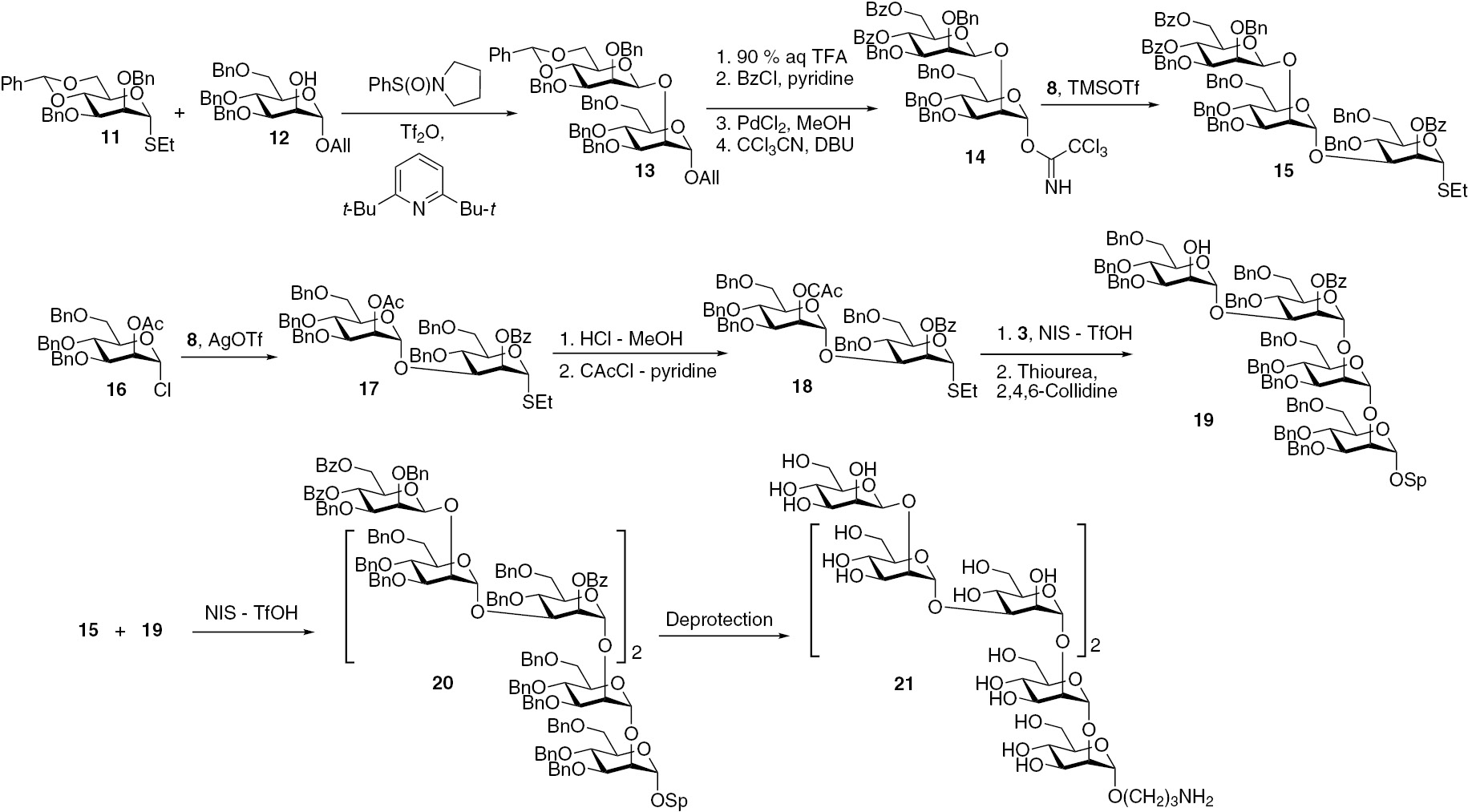 Fig. 4:
Synthesis of the linear heptamannoside related to the antigenic factor 9.