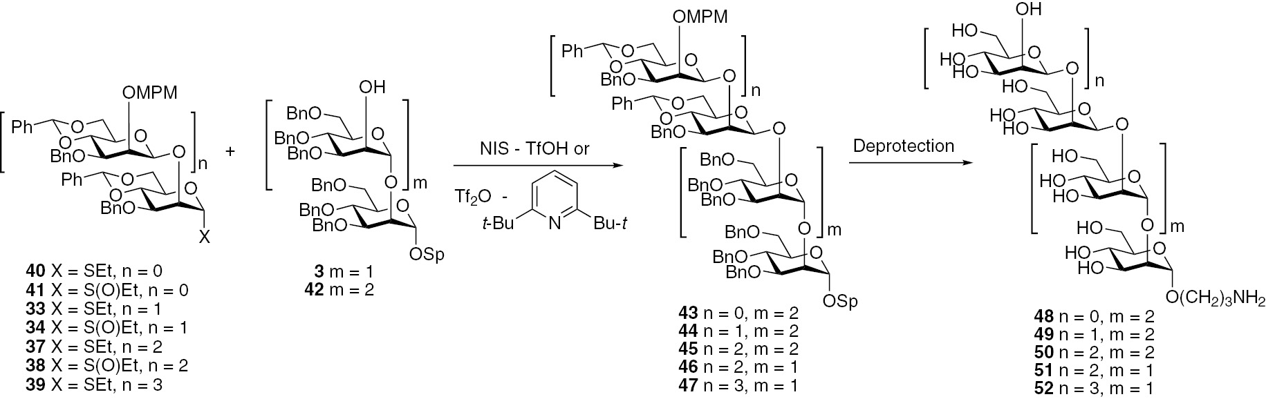 Fig. 8:
Synthesis of oligomannosides related to the antigenic factor 6.
