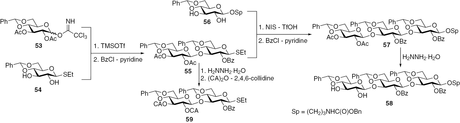 Fig. 9:
Synthesis of the disaccharide glycosyl donor and the trisaccharide glycosyl acceptor.