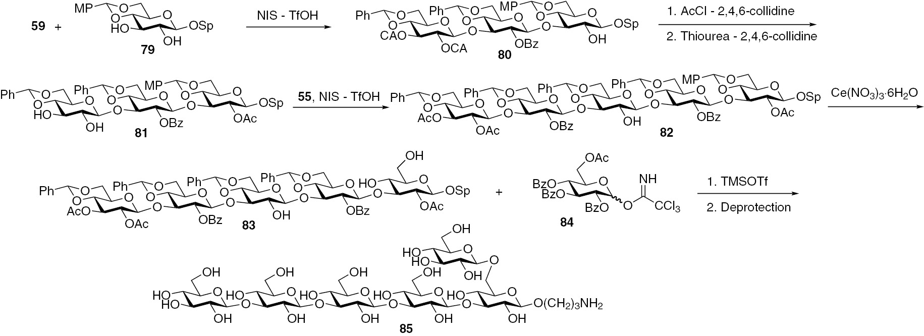 Fig. 12:
Synthesis of the hexaglucoside with branching in the first glucose unit of the linear core.