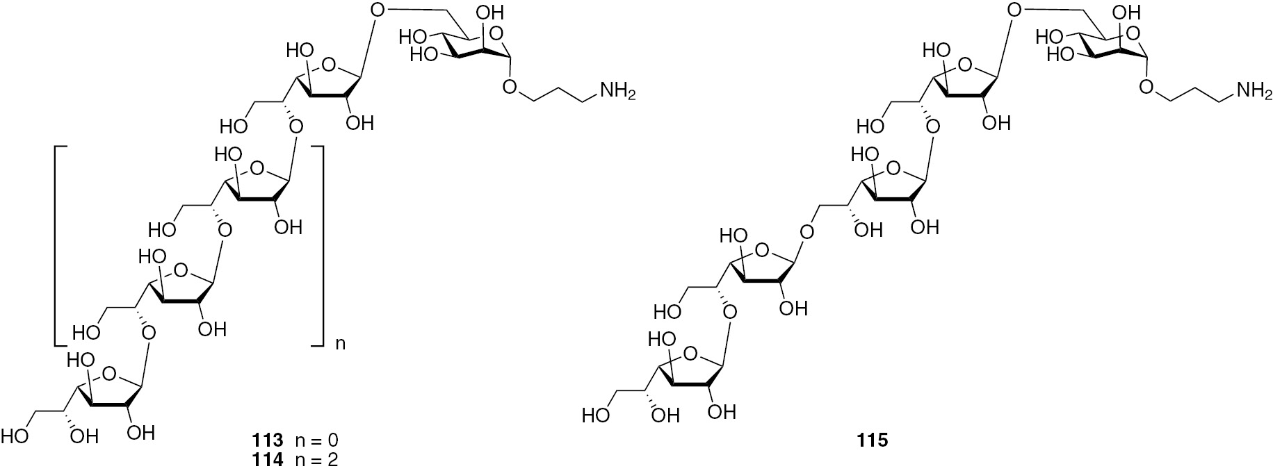 Fig. 15:
Synthesized oligosaccharides 113–115 related to the galactomannan from A. fumigatus.