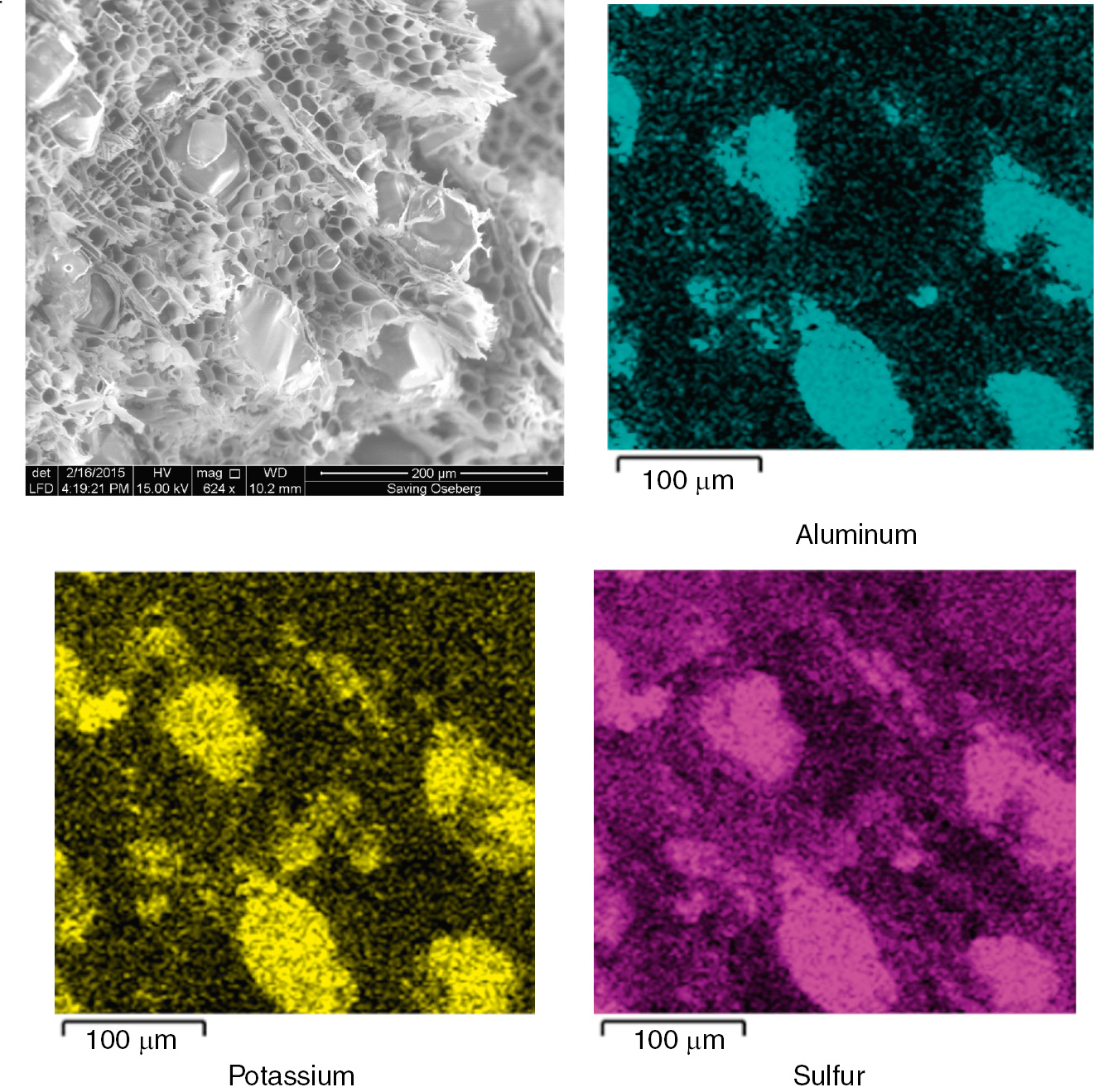 Fig. 5: Elemental maps from Oseberg wood before the treatment with hybrid system, taken from the core of fragment.