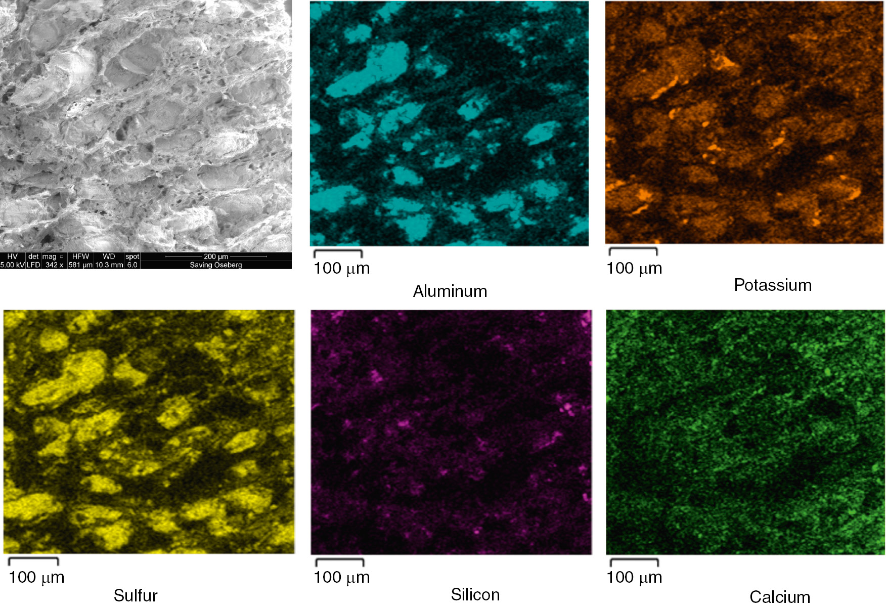 Fig. 6: Elemental maps from Oseberg wood after the treatment with hybrid system (PGMS:NPs).