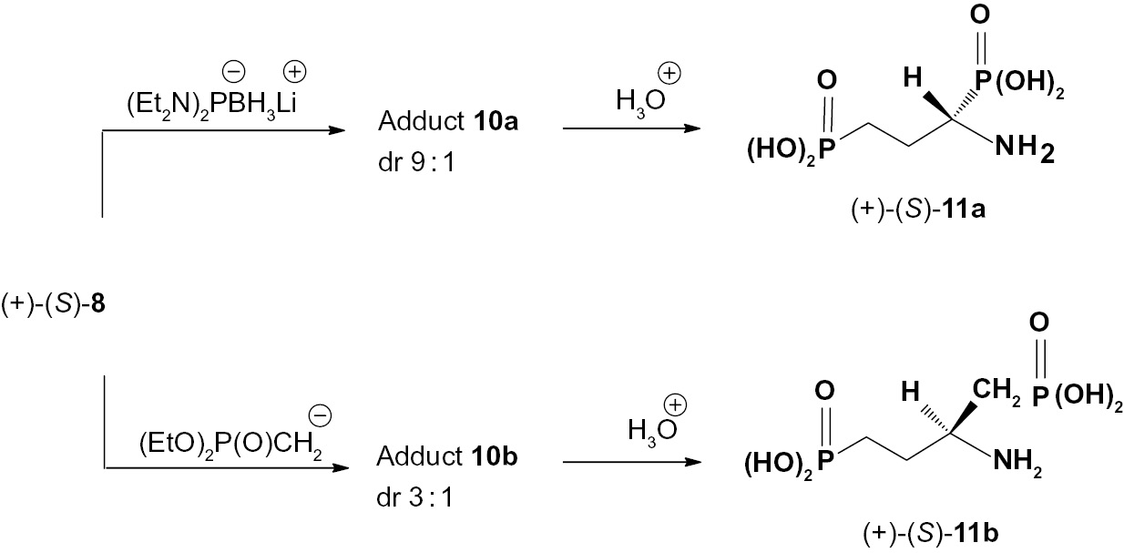 Scheme 7: Asymmetric synthesis of amino-bis-(phosphonic acids) 11.