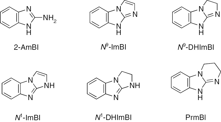 Fig. 2:
QSAR-analysed cyclic guanidine classes.