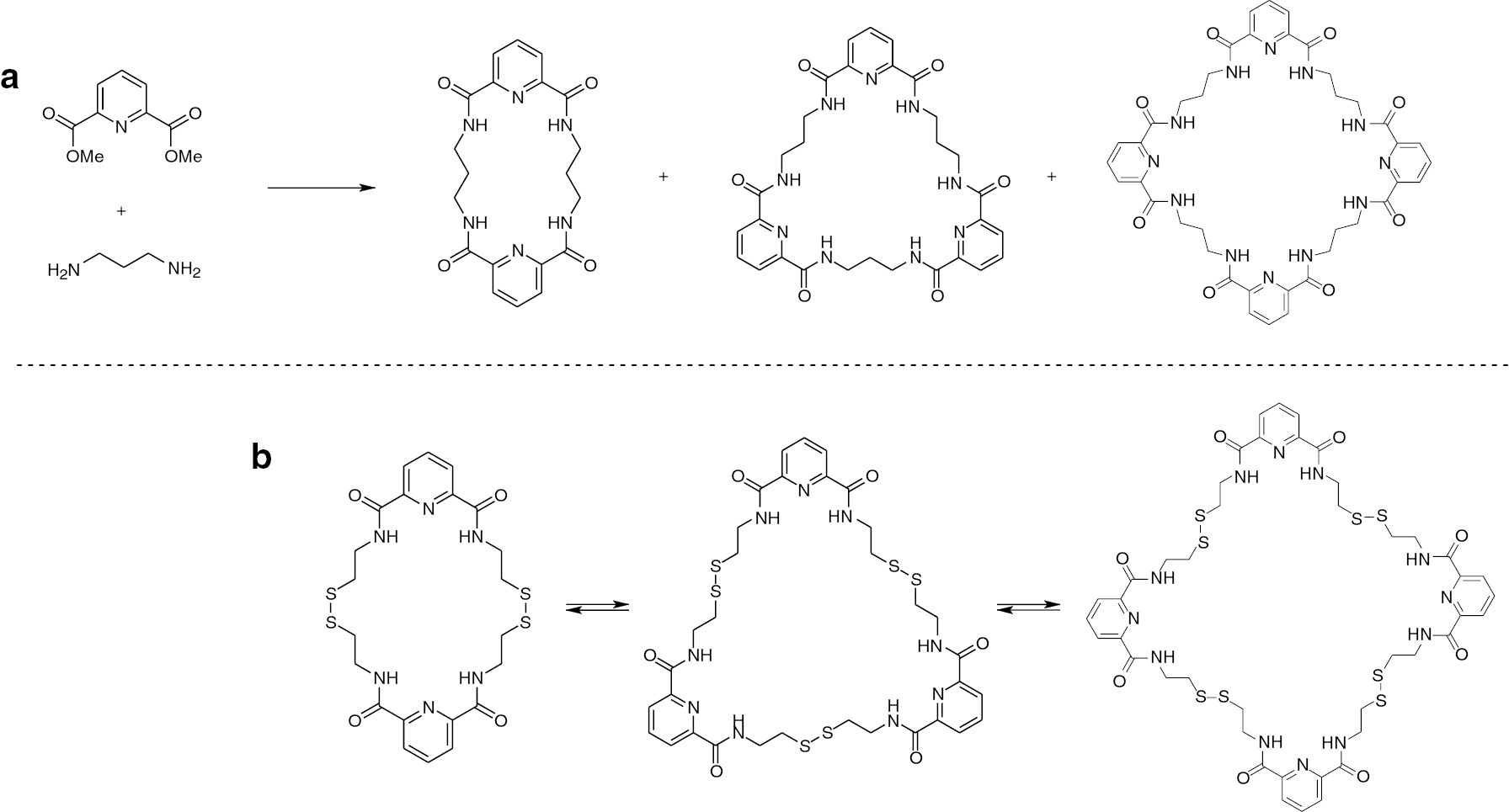 Fig. 1: (a) Formation of a classic library of macrocyclic anion receptors; (b) Dynamic combinatorial library of interchangable macrocycles.