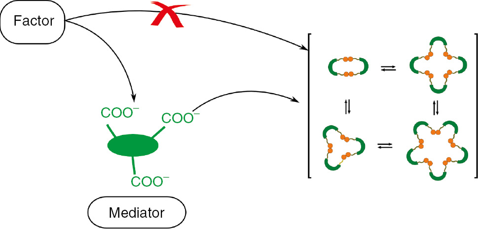Fig. 5: Schematic representation of a factor affecting the DCL only with mediation of the template.