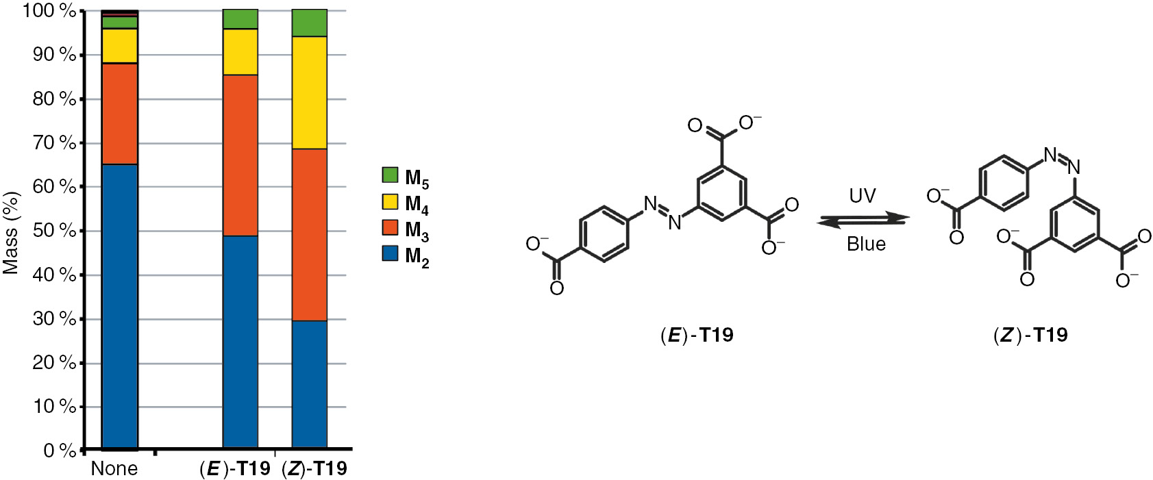 Fig. 6: Structures of photoisomers of template T19 and their templation effects.
