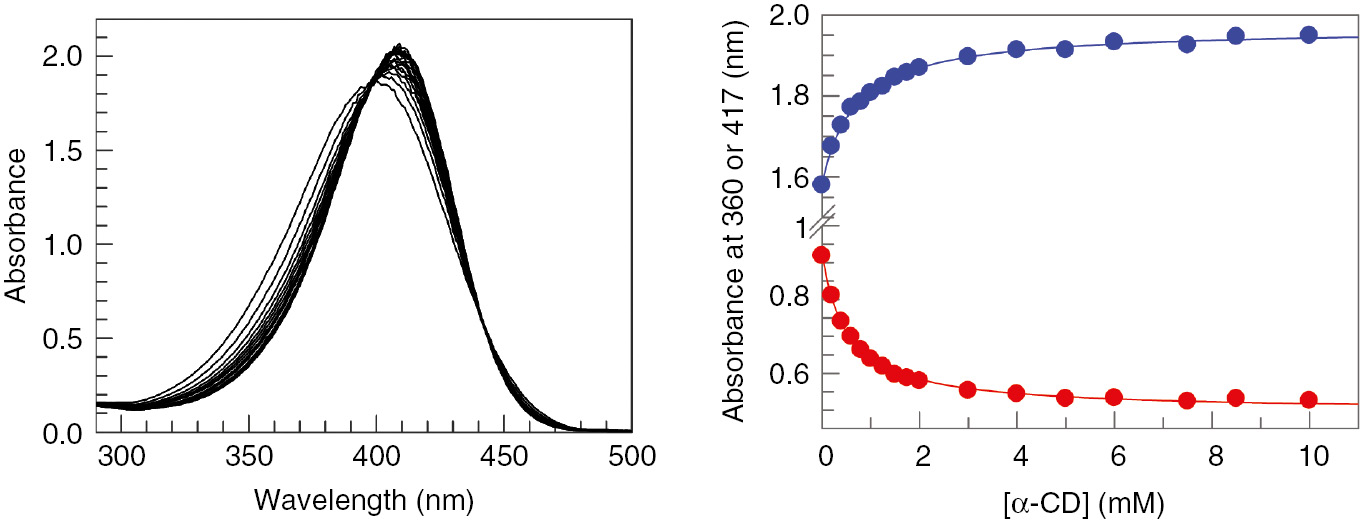 Fig. 1: (left) Influence of [α-CD] on the UV-Vis spectra of nitrophenoxide. [NP]=0.1 mM; [NaOH]=2 mM; T=25.0°C. (right) Plot of the absorbance at () 360 nm or () 417 nm as function of [α-CD]. Lines correspond to the fit of the absorbance vs. cyclodextrin concentration yielding the binding constant.