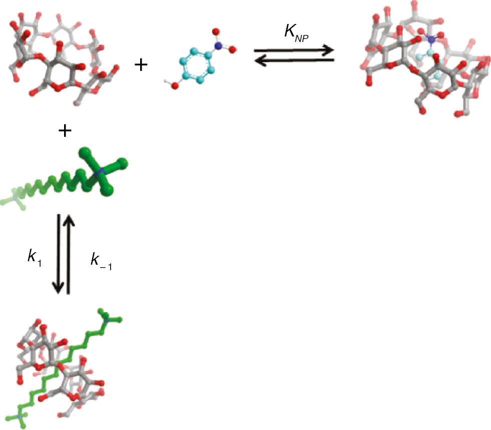 Scheme 3: Pseudorotaxane formation with nitrophenol being displaced from the cyclodextrin cavity to bulk water.