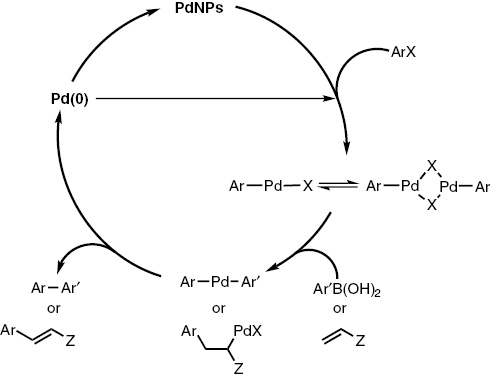 Scheme 1: 
          The mechanism for the PdNPs–mediated cross-coupling reactions.
        
