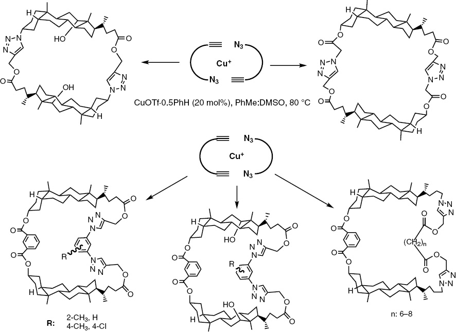 Scheme 11: 
          Cu(I)-catalyzed cycloaddition reactions leading to steroidal macrocycles.
        