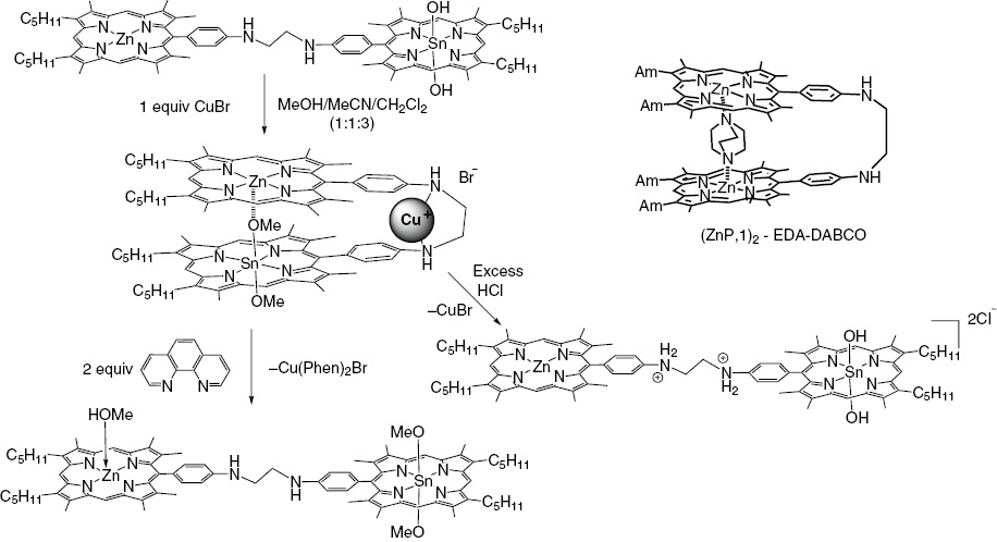 Scheme 14: 
          Porphyrin dyad with a flexible linker as a tweezer.
        