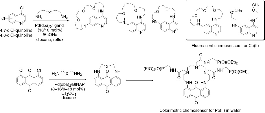 Scheme 16: 
          Pd(0)-catalyzed amination in the synthesis of chemosensors with endocyclic chromophore or fluorophore moieties.
        